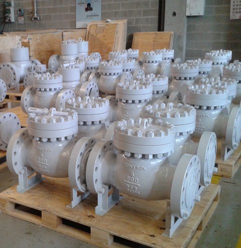 Econtrol swing check valve Econtrol swing check valve