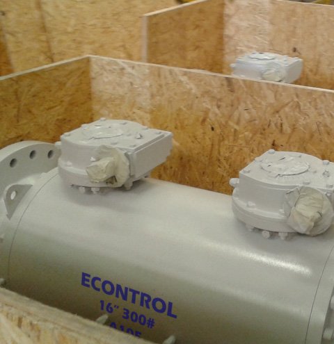 ECONTROL Block and Bleed Valve ECONTROL Block and Bleed Valve